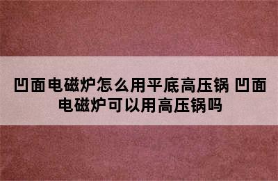 凹面电磁炉怎么用平底高压锅 凹面电磁炉可以用高压锅吗